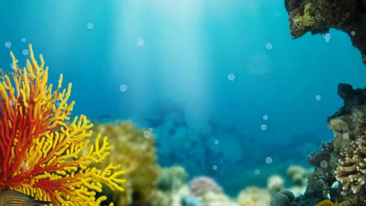 Hyllningsdikt: 7 fantastiska sätt att uttrycka din kärlek 9 hyllningsdikt