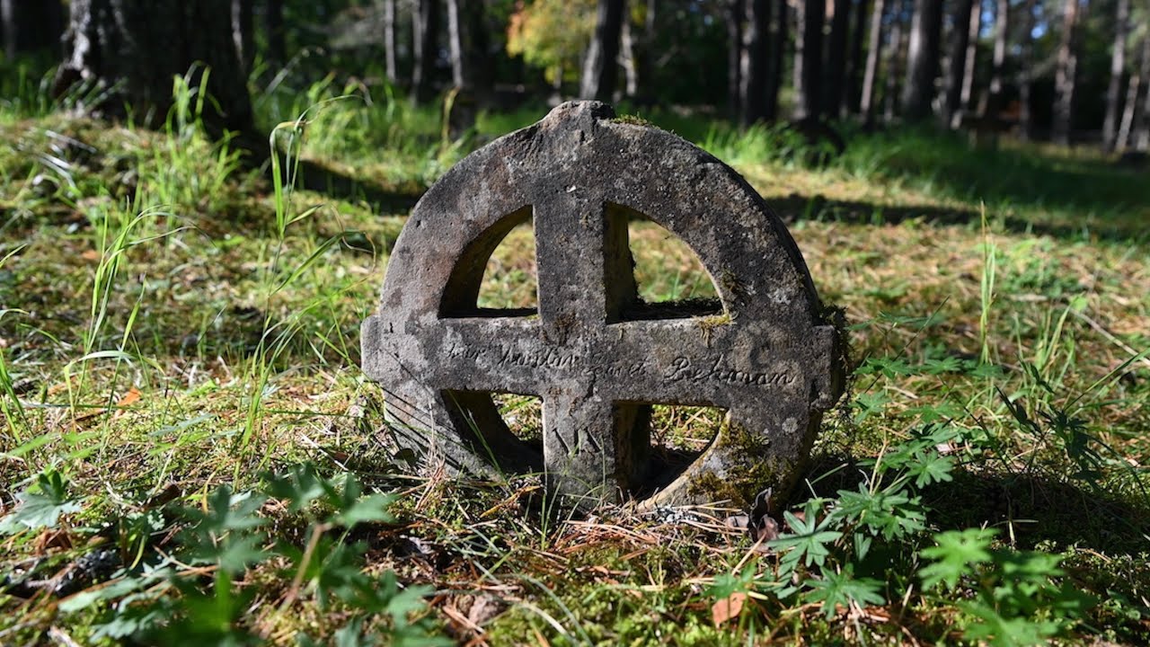 Ösel 2025: 7 dolda skatter du inte får missa! 8 ösel på estniska
