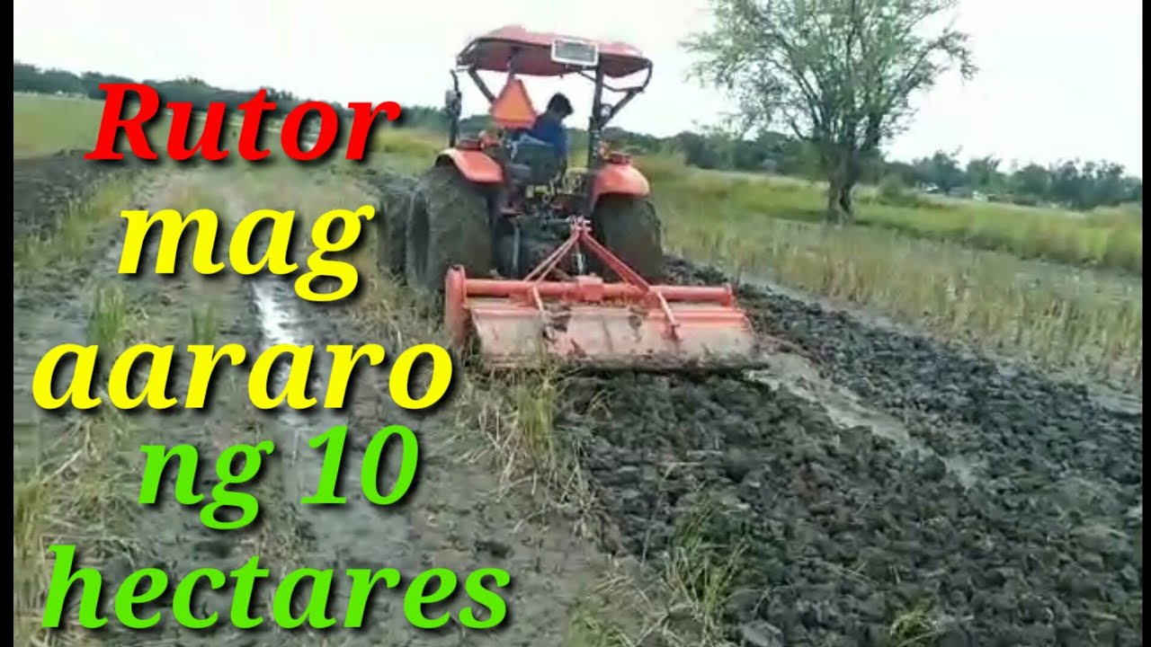 rutor