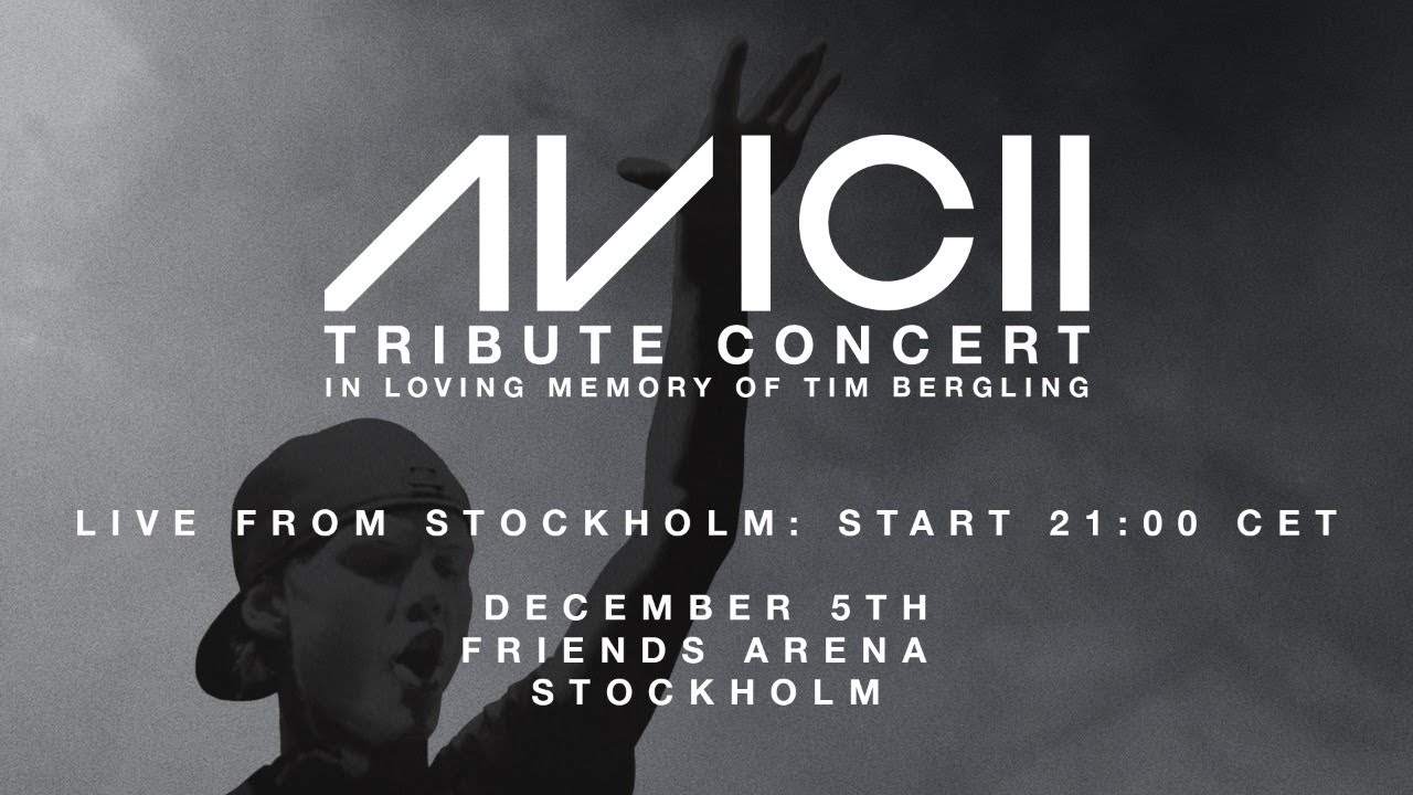 Tim Bergling Foundation 2025: 7 inspirerande projekt att stödja 8 tim bergling foundation