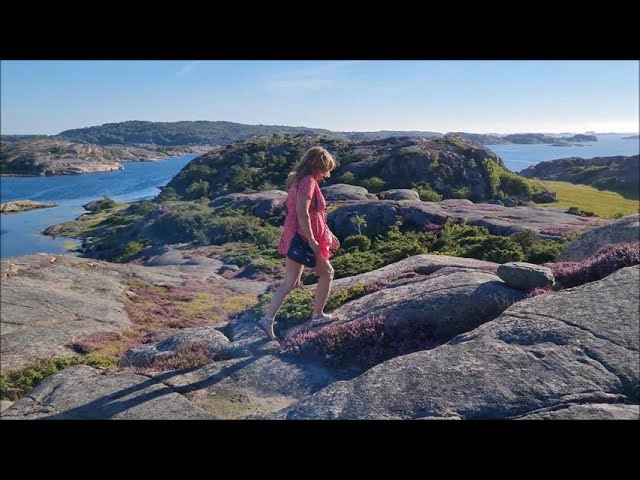 Väddö 2025: 5 fantastiska platser du inte får missa 9 väddö