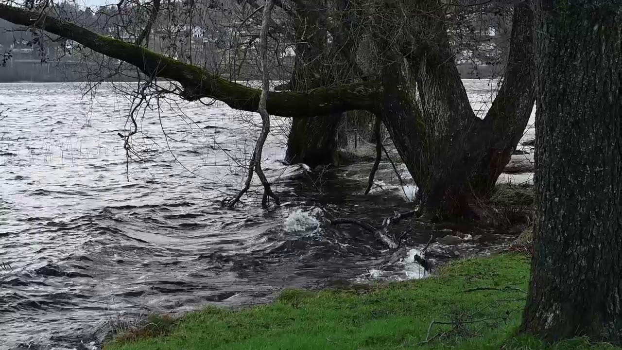 väder ulricehamn