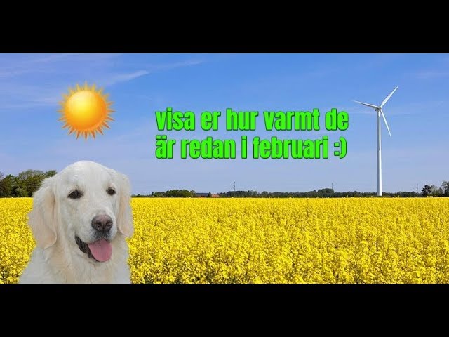 Varmt i februari: 5 sätt att njuta av månaden 2025 8 varmt i februari