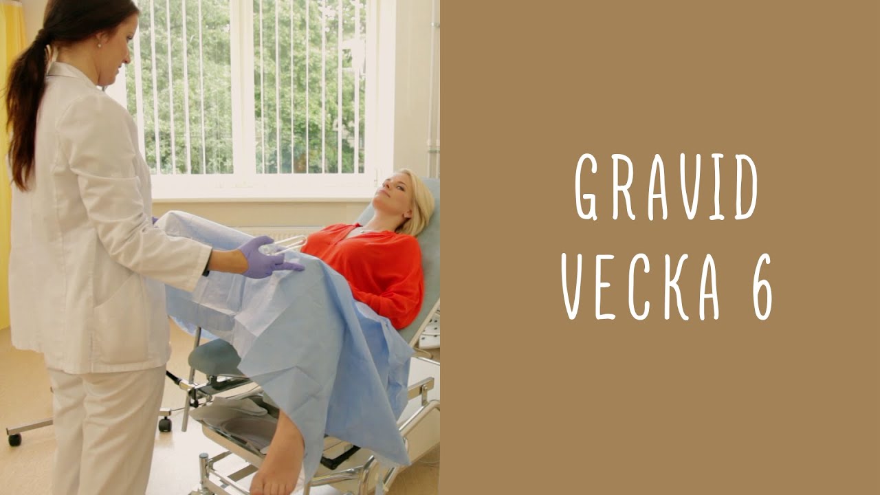 vecka 6
