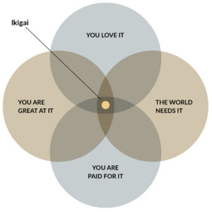 5 façons de vivre une vie pleine de sens 7 Trouvez votre Ikigai