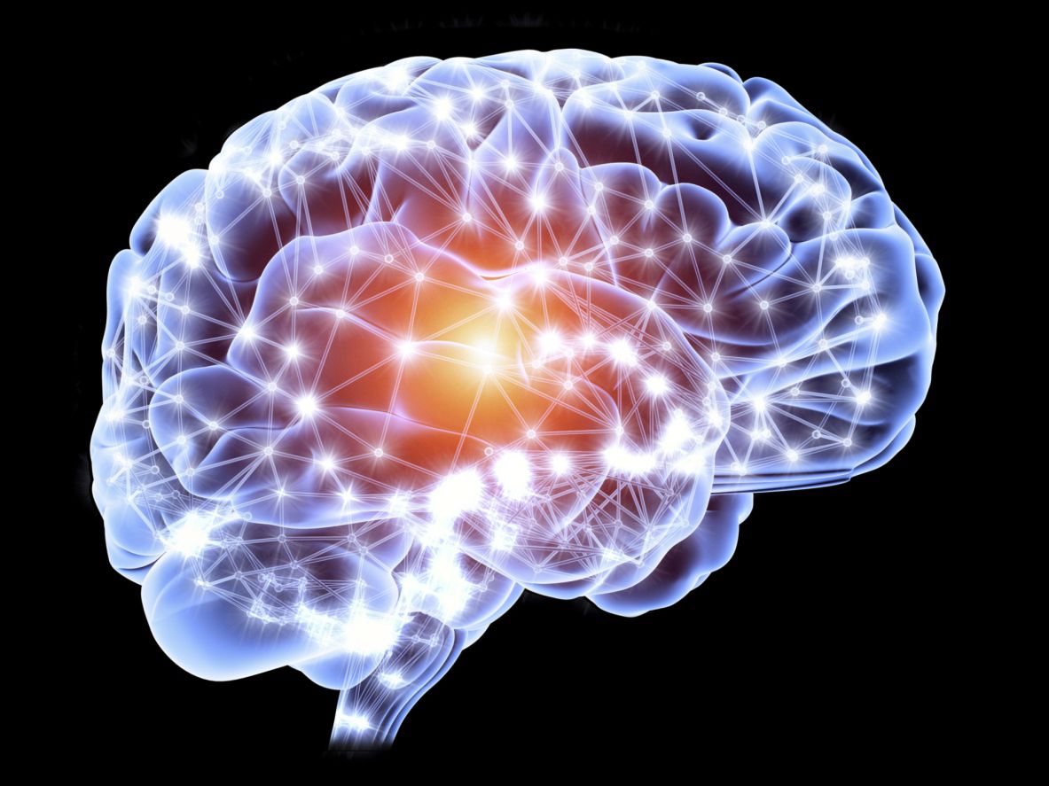 Gehirnprotein im Zusammenhang mit alkoholsuchendem Verhalten