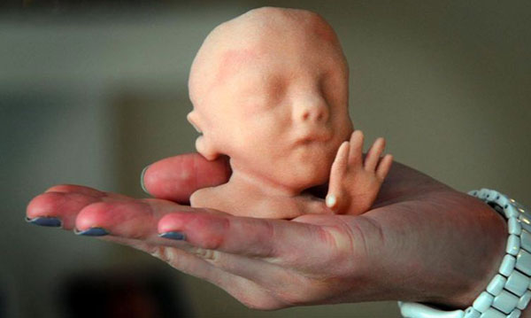 Holen Sie sich ein 3D-Modell des Gesichts Ihres ungeborenen Babys