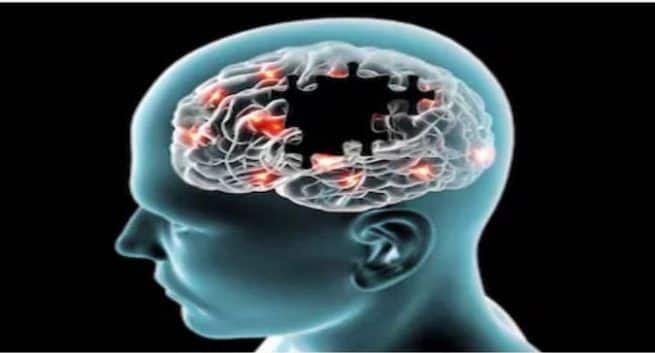 Ballaststoffe sind das Geheimnis für ein gesundes Gehirn und Gedächtnis im Alter