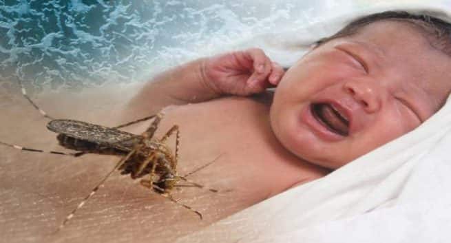 mosquito repellent and dengue