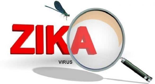 Zika-virus