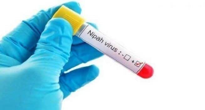 Nipah-Virus-Problem
