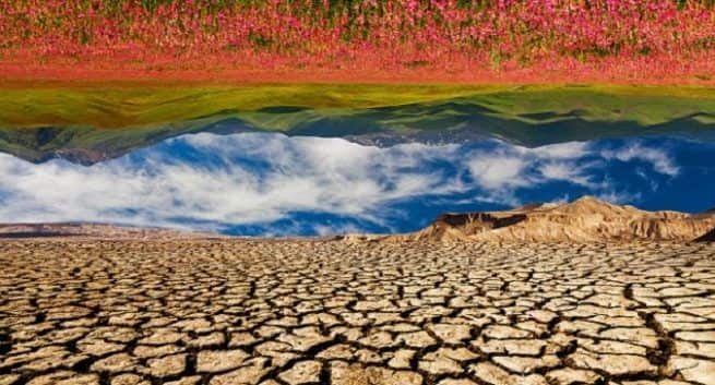 Die Allergiesaison verschlechtert sich mit dem Klimawandel: Studie