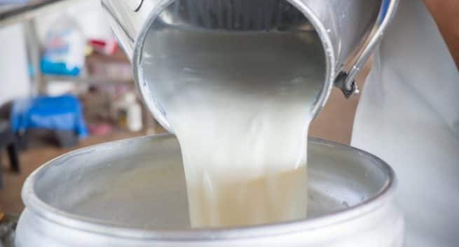 Die Regierung von Rajasthan wird 62 Lakh-Kinder, die an staatlichen Schulen studieren, dreimal pro Woche mit Milch versorgen