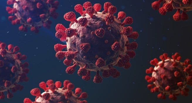 Protective immunity against novel coronavirus may last for over years