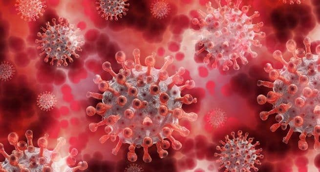 South Africa's coronavirus variant poses 're-infection risk': study