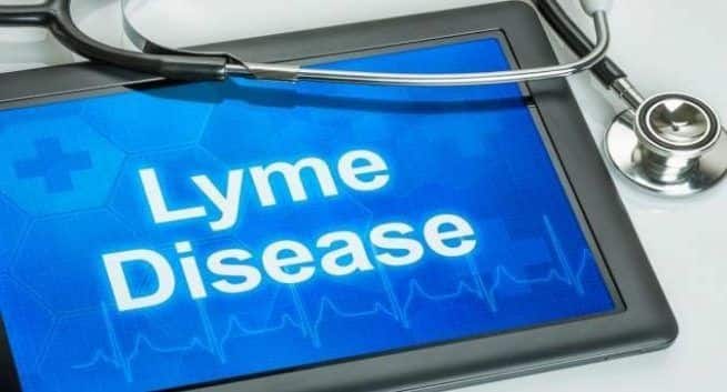 Lyme disease, Lyme disease treatment