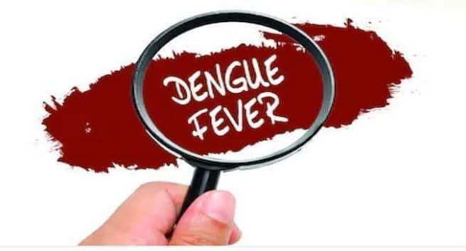 dengue, dengue virus, transmission of dengue virus, sexual transmission of dengue virus