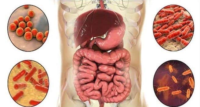 gut health, colon, gut functioning, colon functioning,