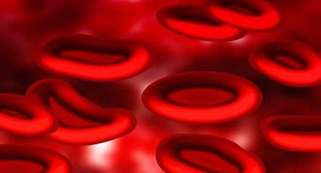 Hohe PCB-Werte im Blut können zum frühen Tod führen: Studie