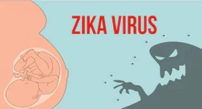 Jetzt eine neue Methode zur Überprüfung der Zika-Virus-Replikation im menschlichen Körper