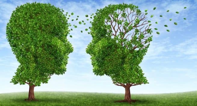 Können Virostatika helfen, das Alzheimer-Risiko zu senken?