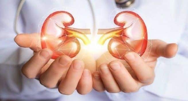 kidney dysfunction, muscle relaxant, kidney care, kidney function, kidney disease, kidney care and muscle relaxants