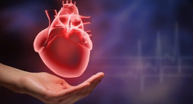 Prothetische implantierte Herzklappen erhöhen das Risiko von Todesfällen und Herzinsuffizienz