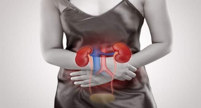women kidneys
