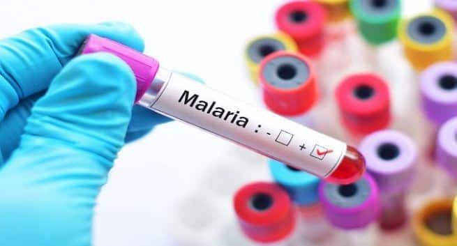 malaria in delhi