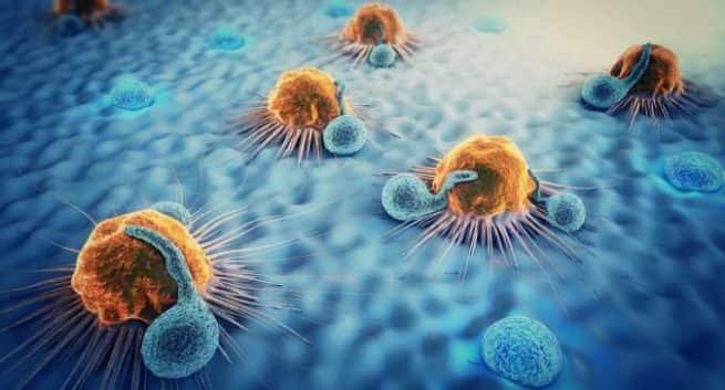 Wissen, wie Sex und Viren im Kampf gegen Krebs helfen können