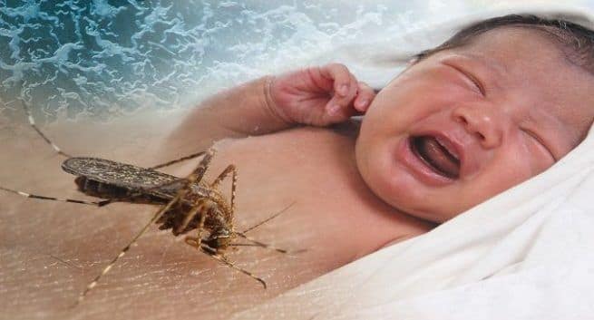 Zika and baby