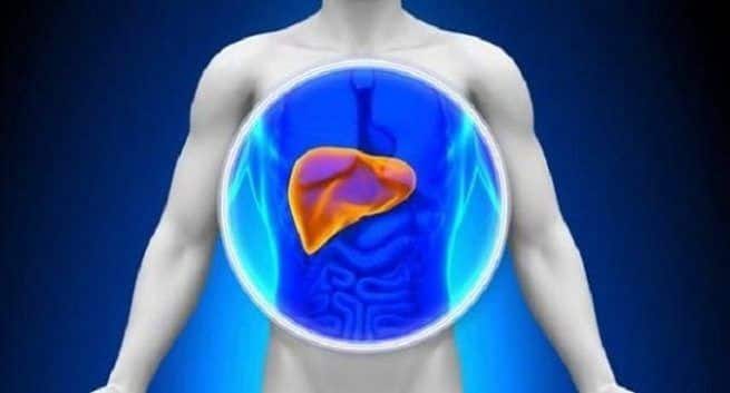 liver scarring - risk of developing liver disease - new sub-types of cells - sub-types of three key cells - result of a number of conditions