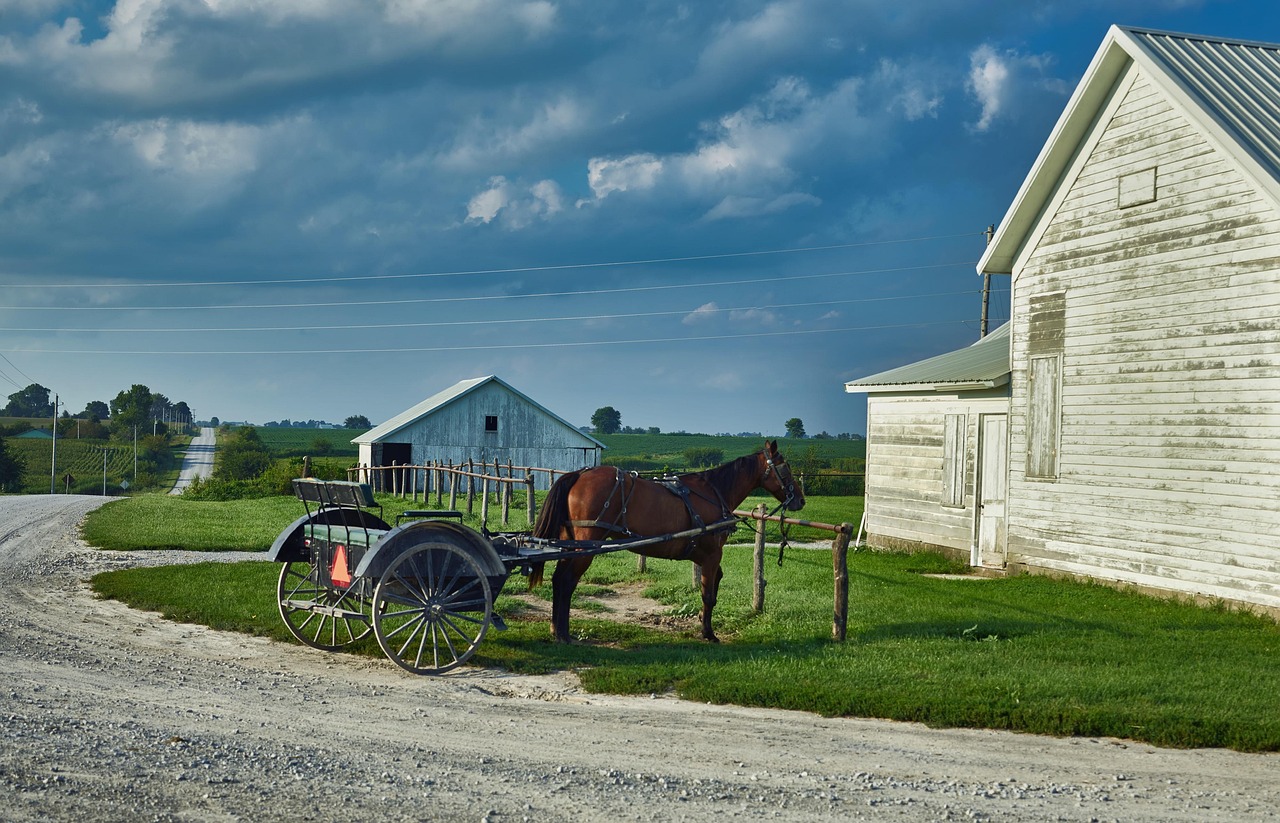 amish namen