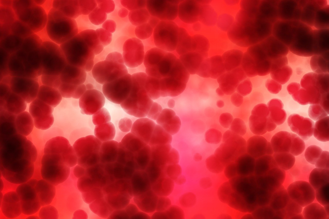 antidepressiva drogentest positiv