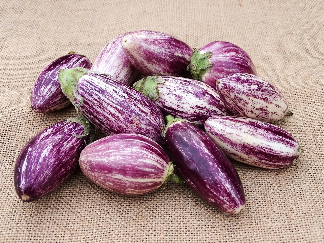 Aubergine in der Schwangerschaft: 5 Vorteile für werdende Mütter 2 aubergine in der schwangerschaft