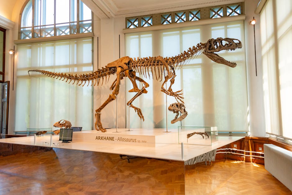 Ausmalbild Allosaurus: 7 kreative Ideen zum Ausmalen! 4 ausmalbild allosaurus
