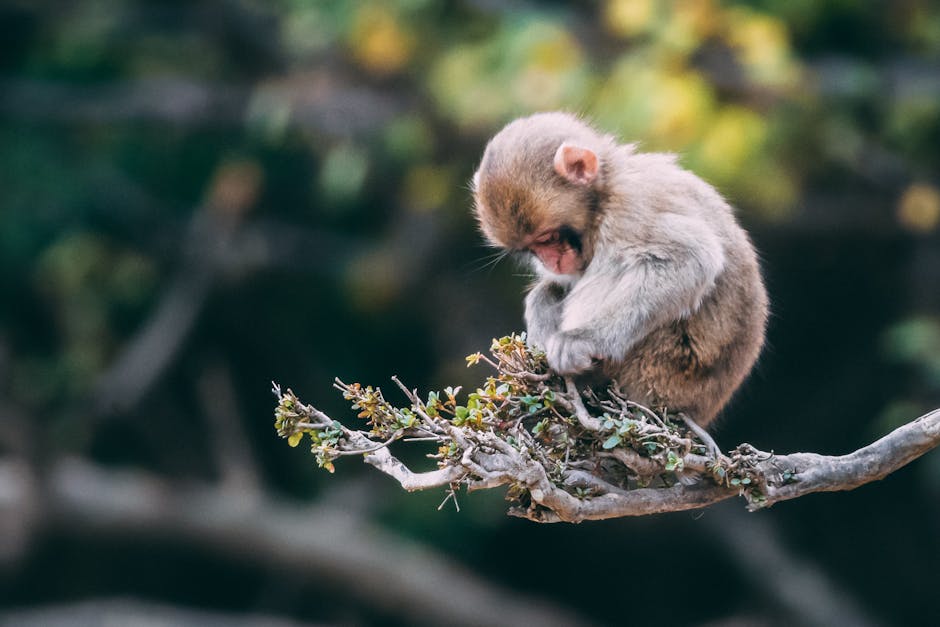 Babys Entwicklung 1 Monat: 5 erstaunliche Meilensteine entdecken 5 babys entwicklung 1 monat