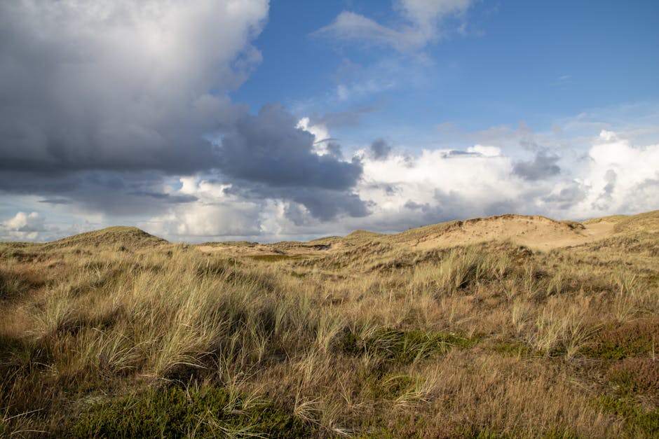 bläschen auf der brustwarze