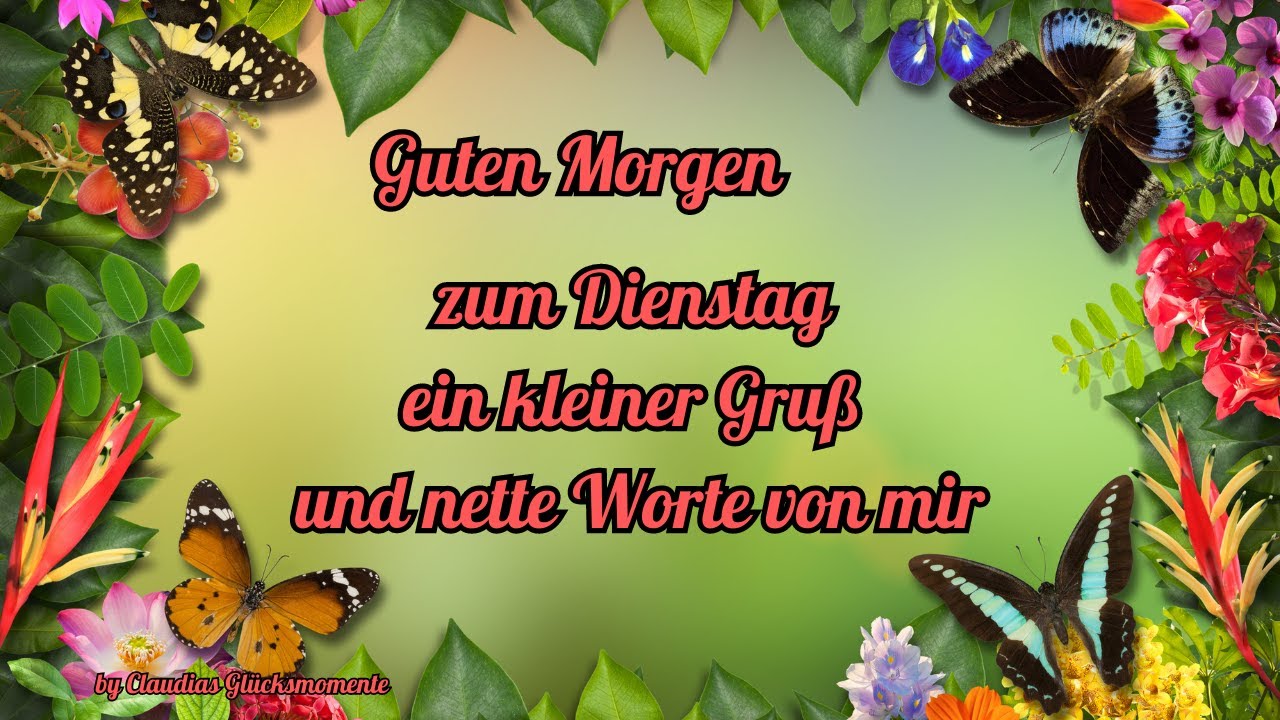 Guten Morgen Dienstag! 5 Gründe, warum er der beste Tag ist 3 guten morgen dienstag