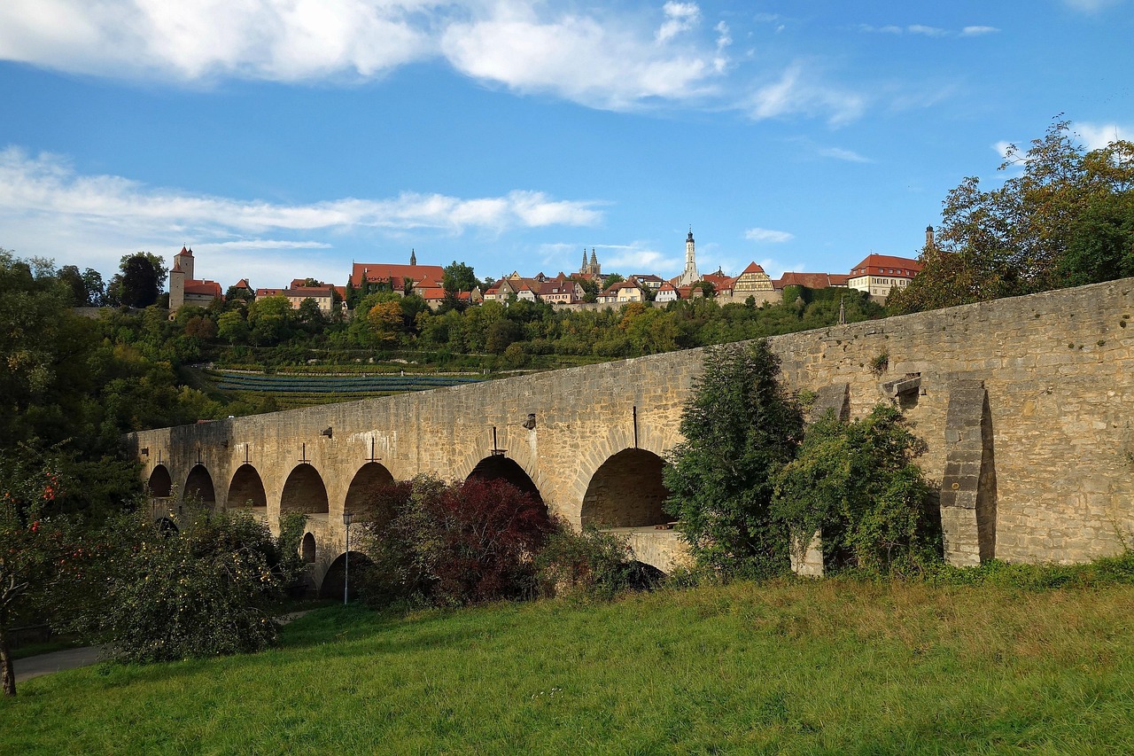 Holunder in der Schwangerschaft: 5 Vorteile für werdende Mütter 5 holunder in der schwangerschaft
