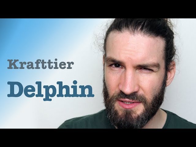 Krafttier Delphin: 7 Wege zu mehr innerer Ruhe und Klarheit 5 krafttier delphin