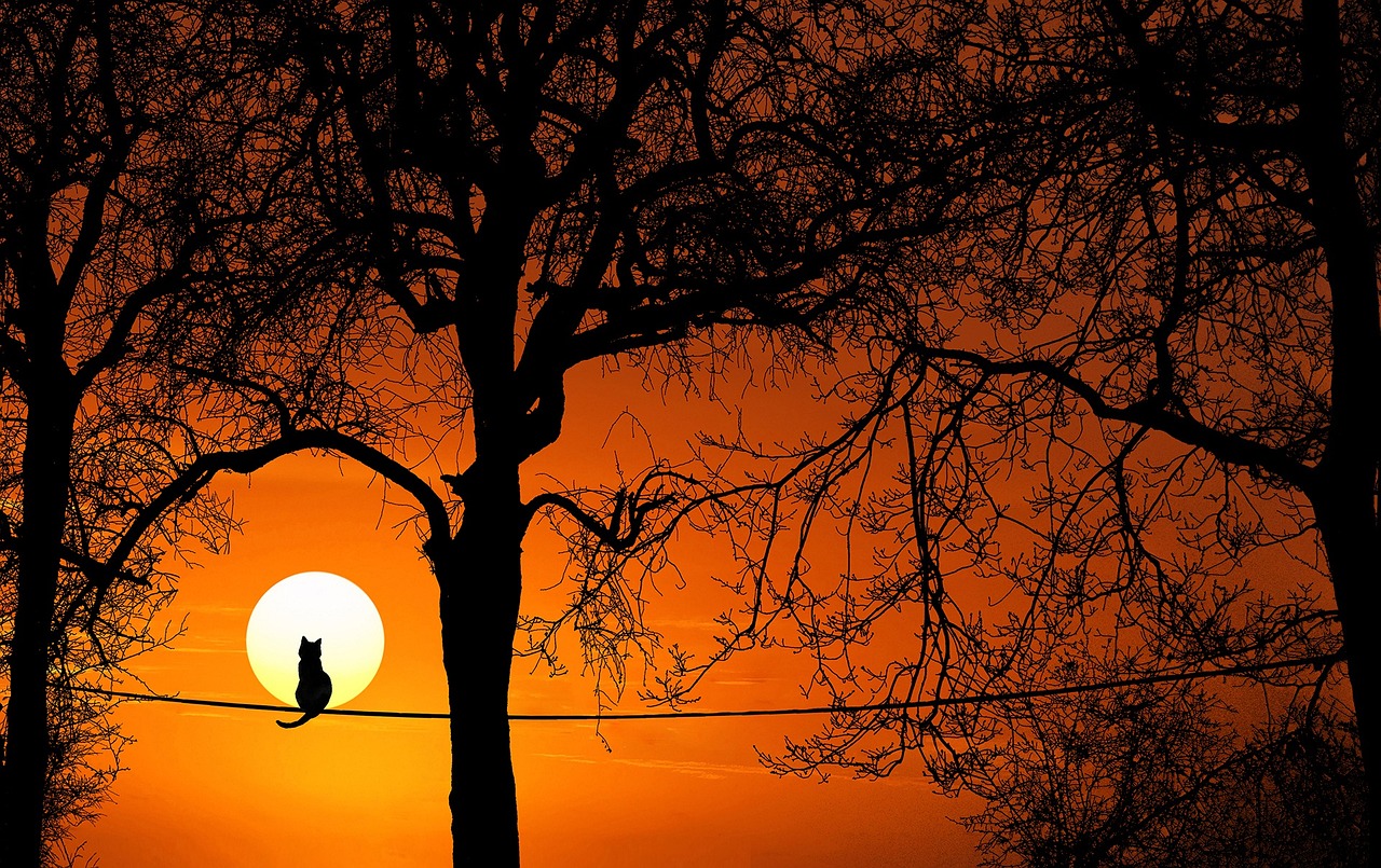 mädchenname sonne
