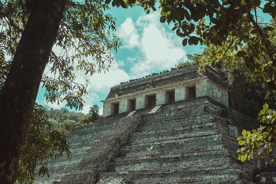 maya name