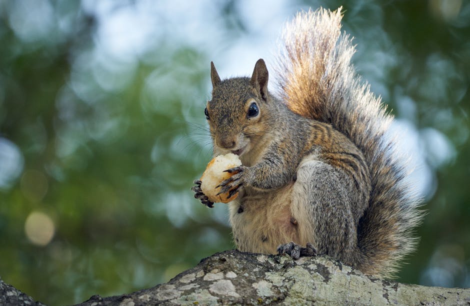 Name für Löwen: 7 fesselnde Ideen für Deinen König der Tiere 4 name für löwen