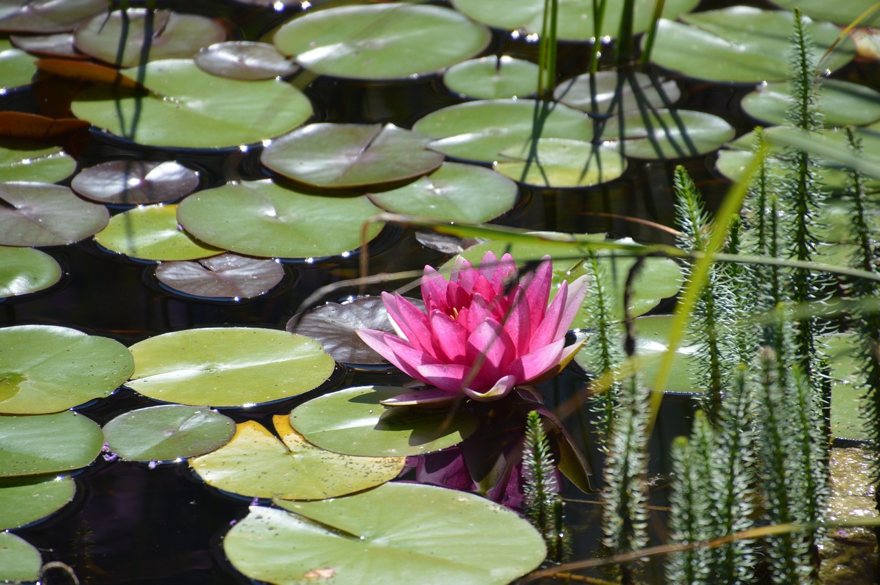 namen wasser
