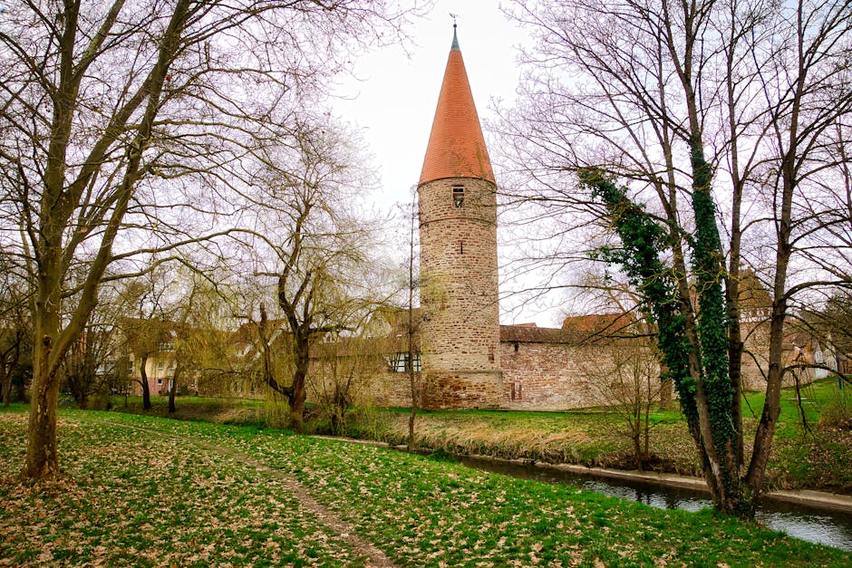 Nektarine in der Schwangerschaft: 5 Gründe für den Genuss! 1 nektarine in der schwangerschaft