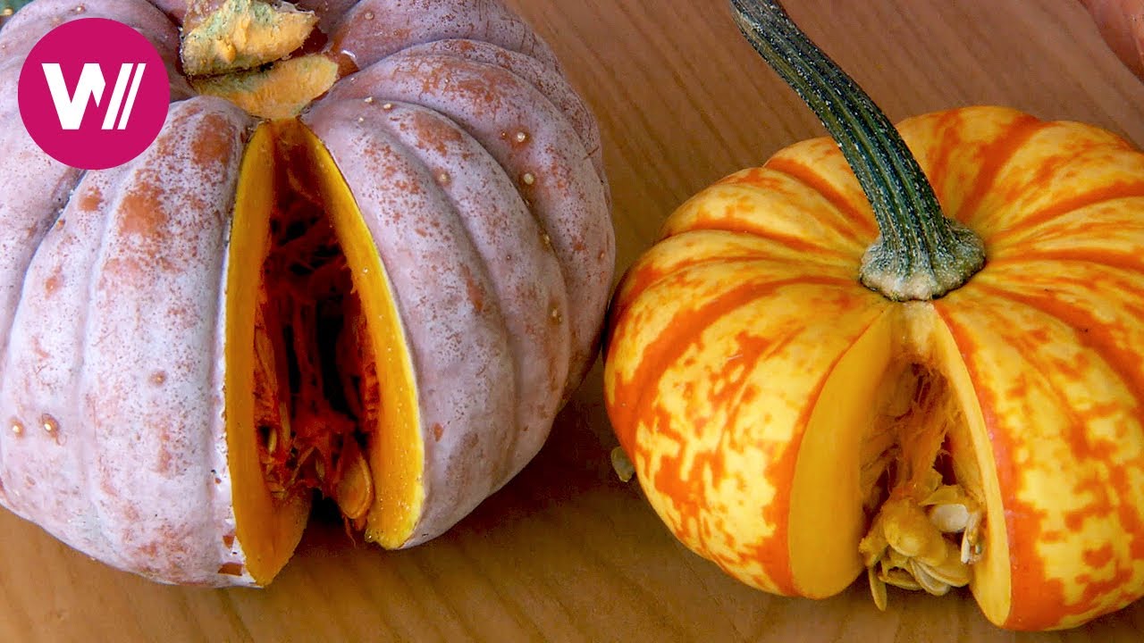 Schlangenkürbis Rezepte 7 köstliche Ideen für jeden Tag! 3 schlangenkürbis rezepte