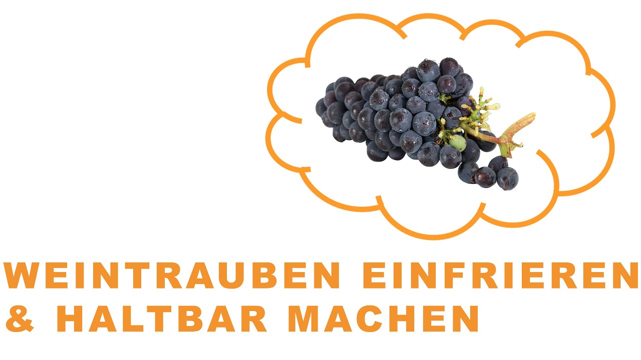 traubensaft einfrieren