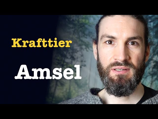 Amsel spirituelle bedeutung 5 faszinierende Einsichten für Ihr Leben 4 amsel spirituelle bedeutung