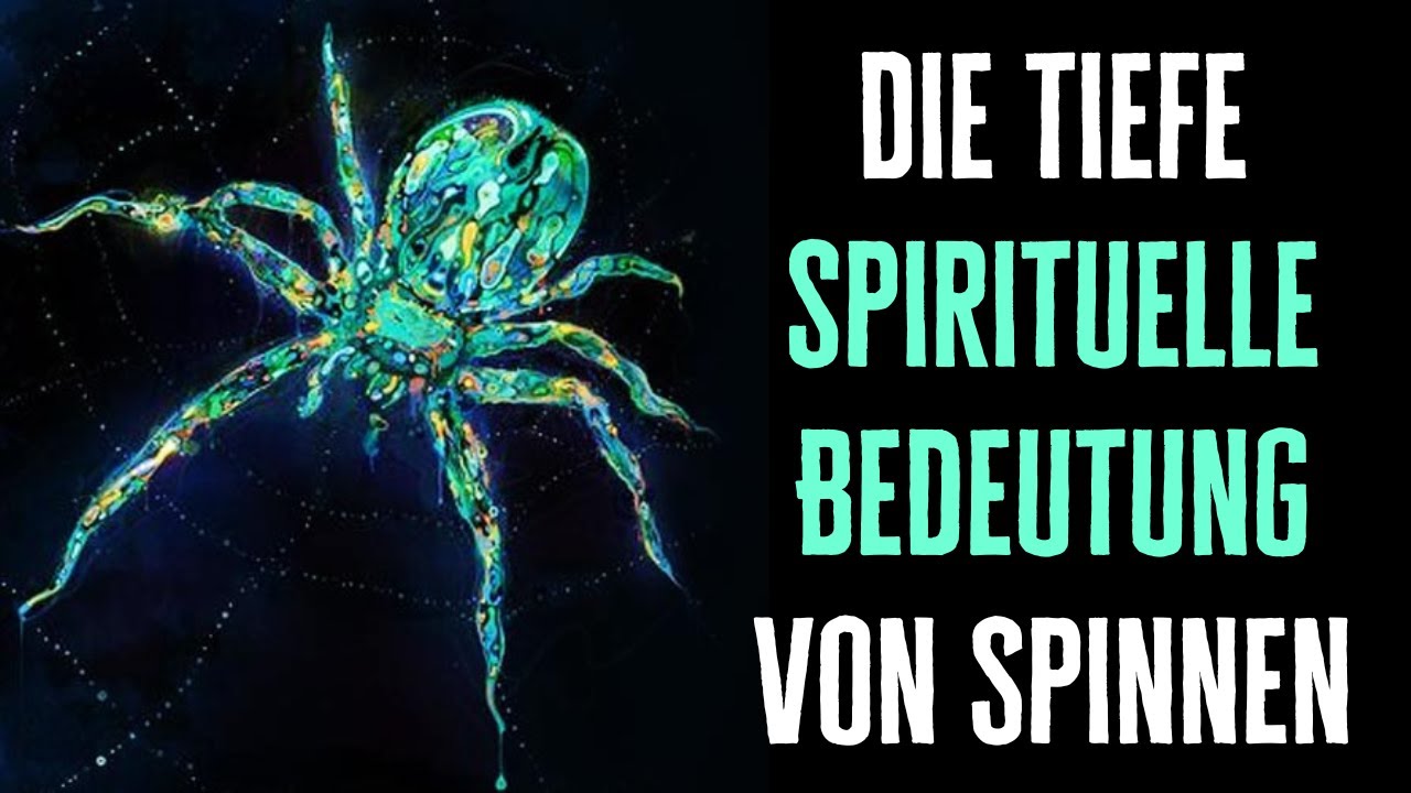 Bedeutung Spinne im Haus: 7 Fascinierende Fakten, die Sie wissen sollten 3 bedeutung spinne im haus